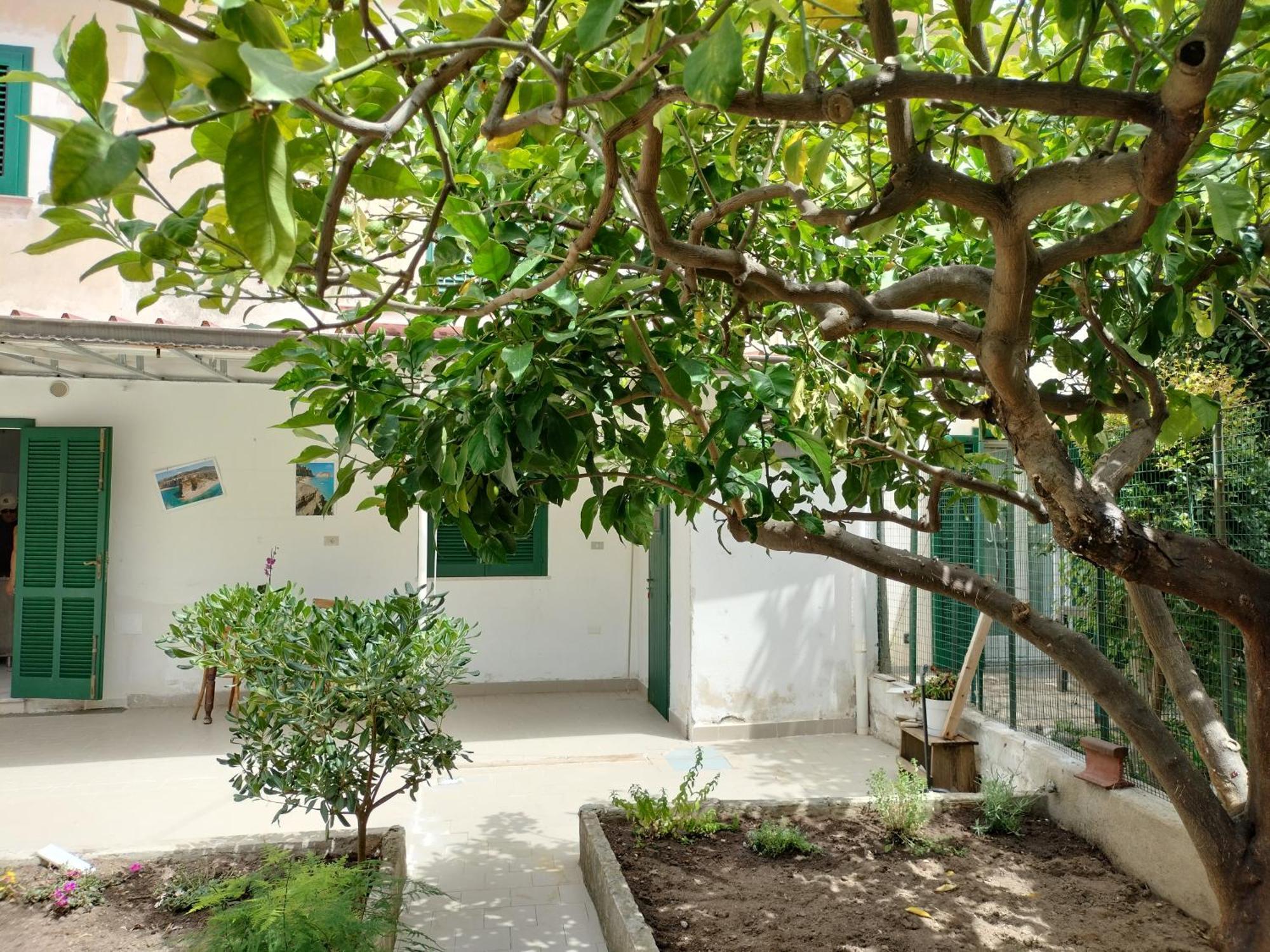 Sunny House Apartment Parghelia Exterior photo